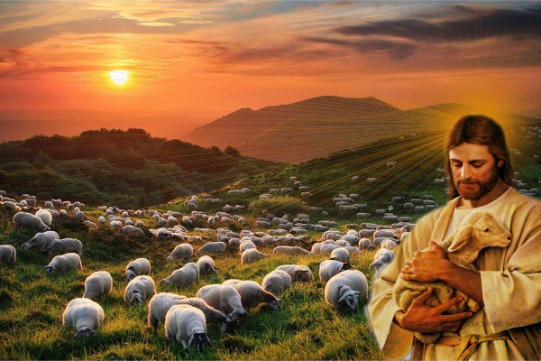 Pasterz i owieczka – bliskość i tajemnica